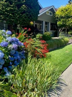 Great Garden Award 2025 recipient