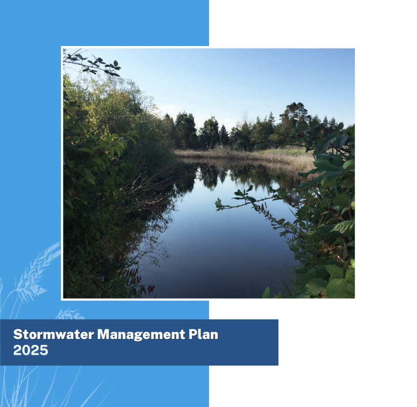 Stormwater Action Plan Thumbnail