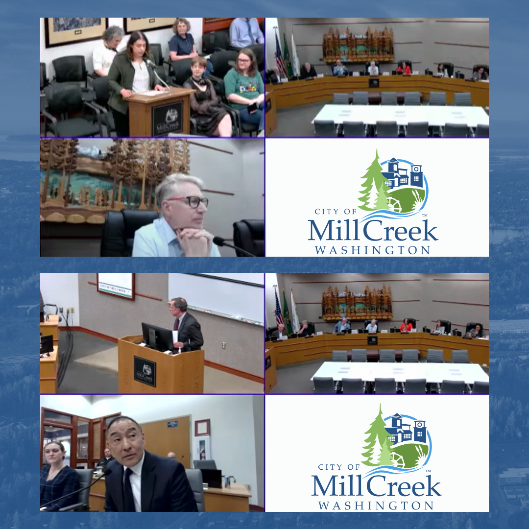 Screenshots of the City Council Zoom meeting for June 3, 2025.