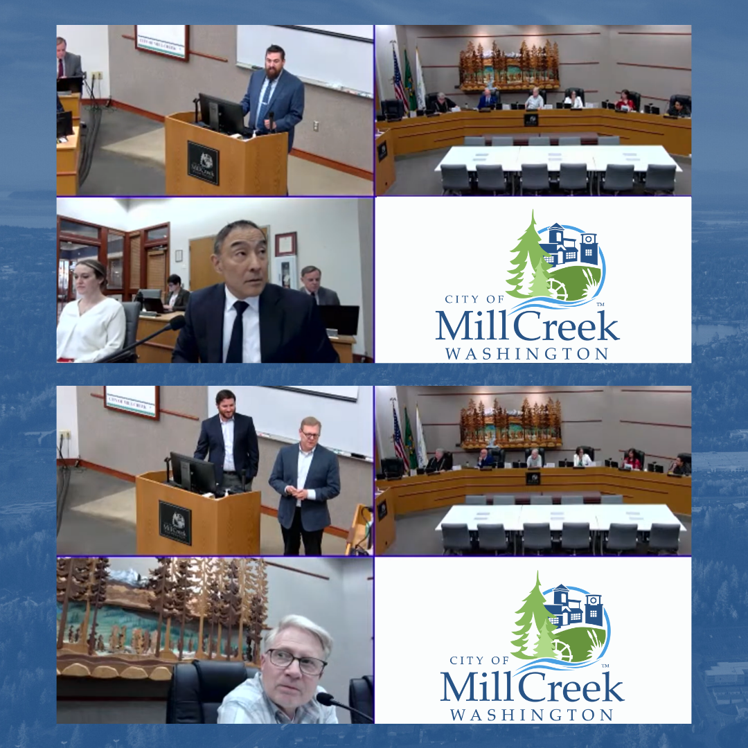 City Council Recap for July 08, 2025: screenshots of the Zoom meeting.