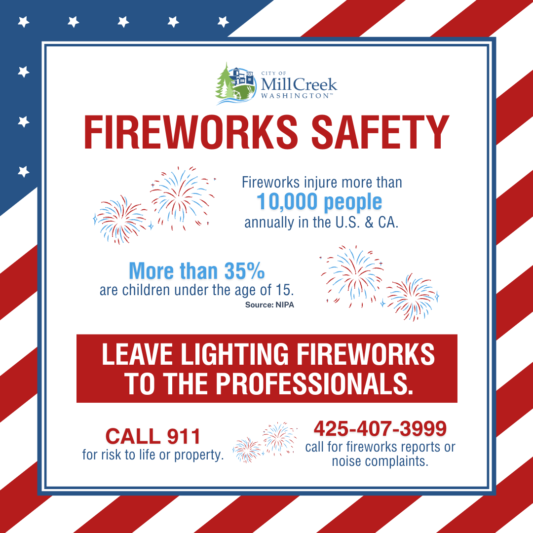 Fireworks Safety Notice 2025