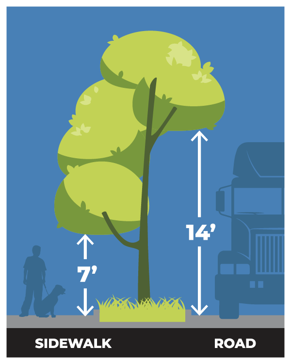 Sidewalk Right of Way Clearance diagram