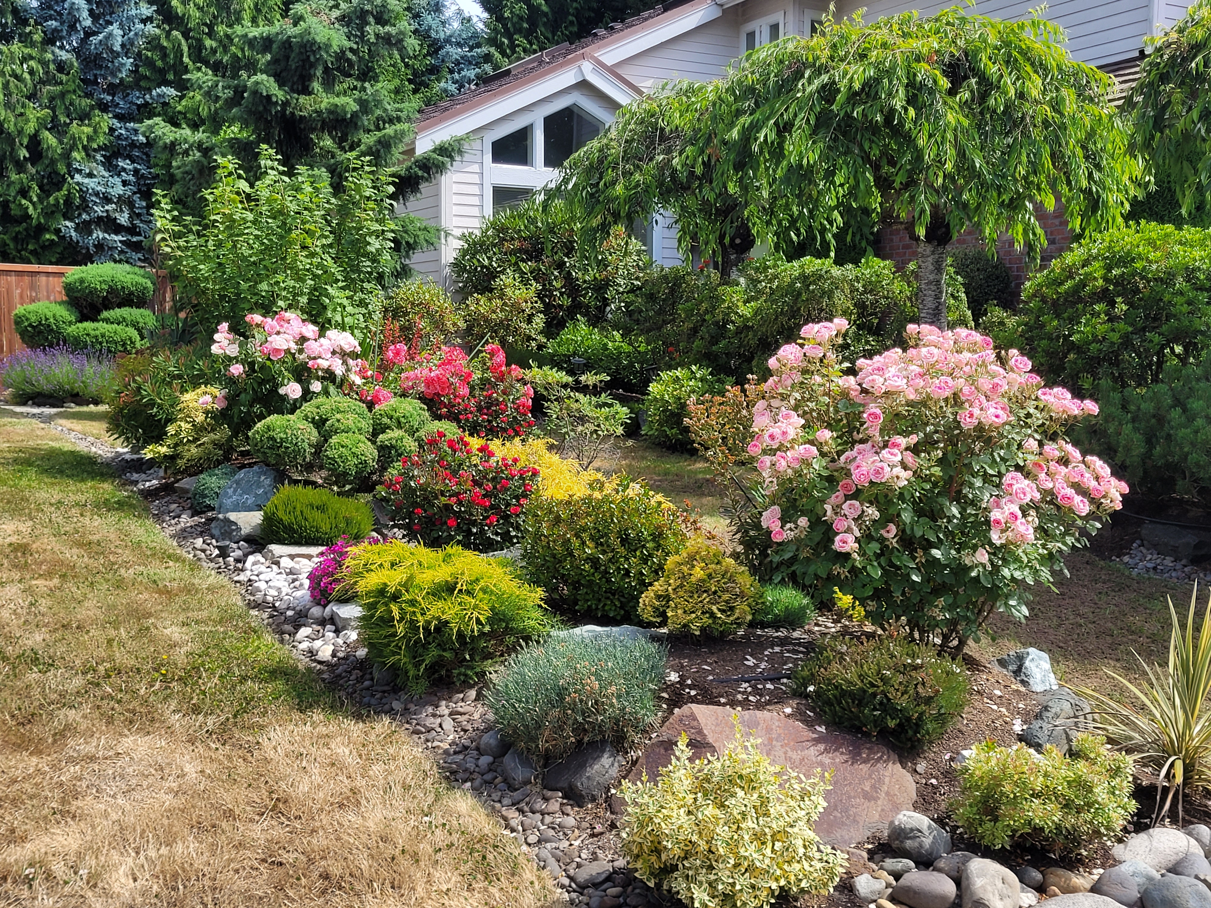 Great Garden Award 2025 recipient