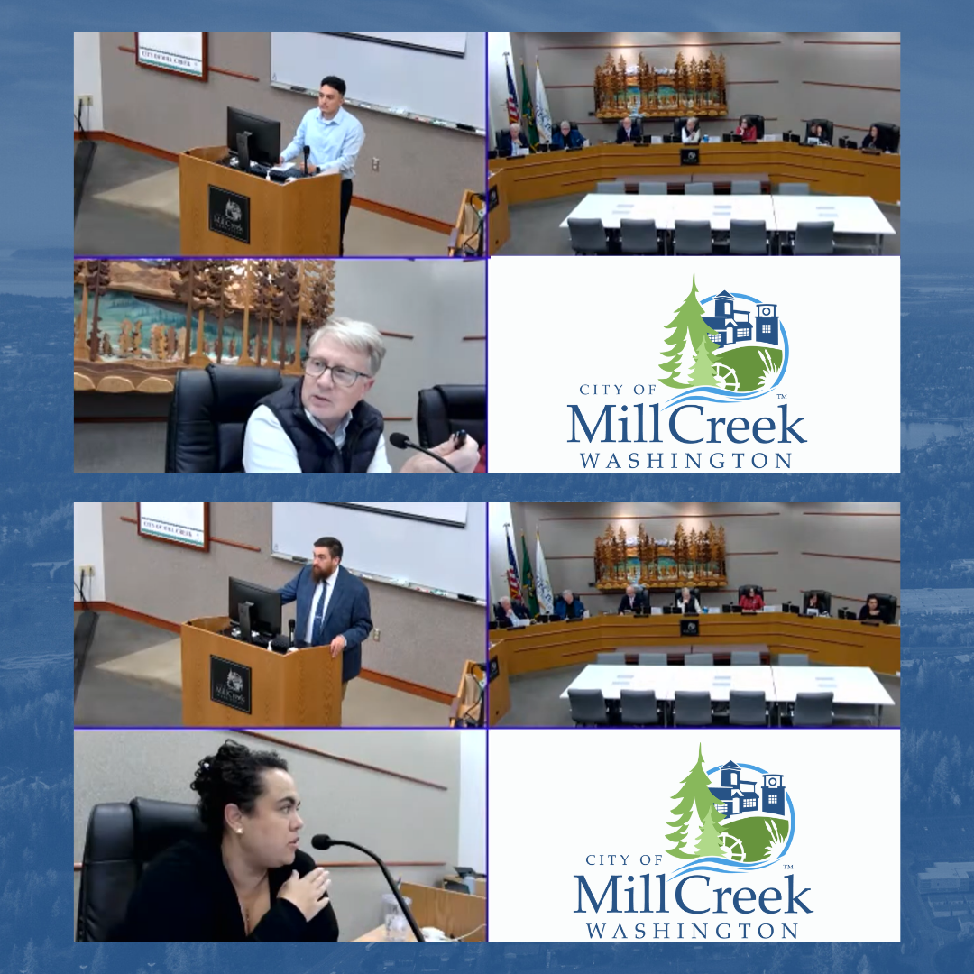 City Council Recap for October 21, 2025 - Zoom Screenshots of City Council