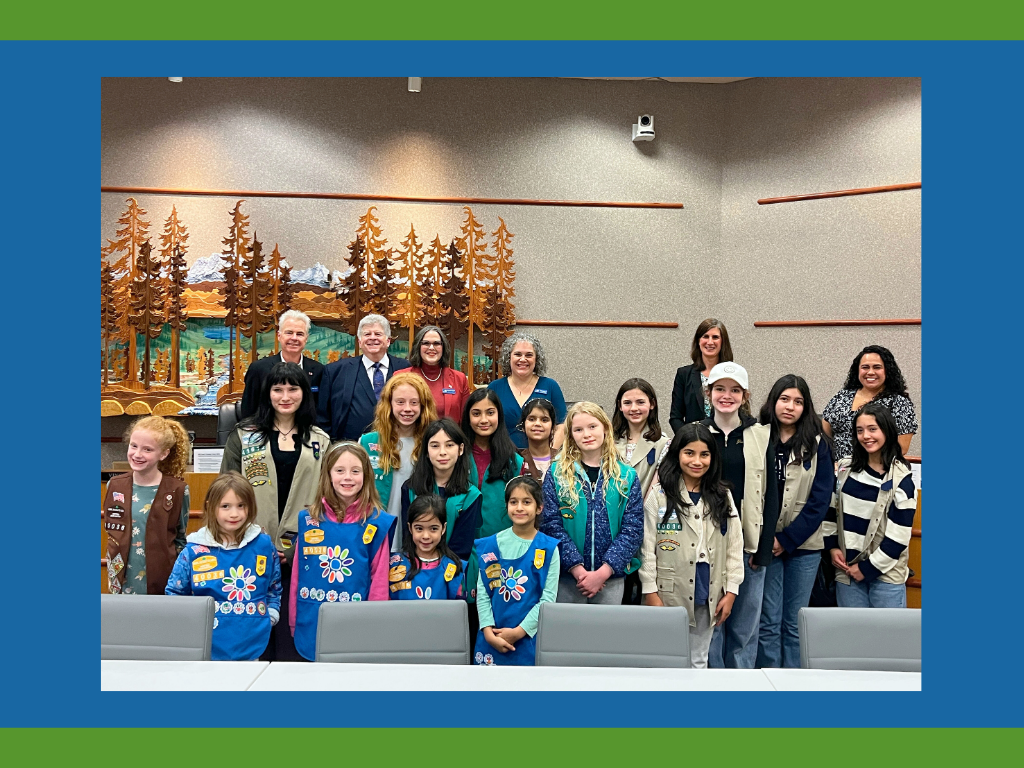 New Mill Creek City Leadership with Girl Scouts Service Unit 222