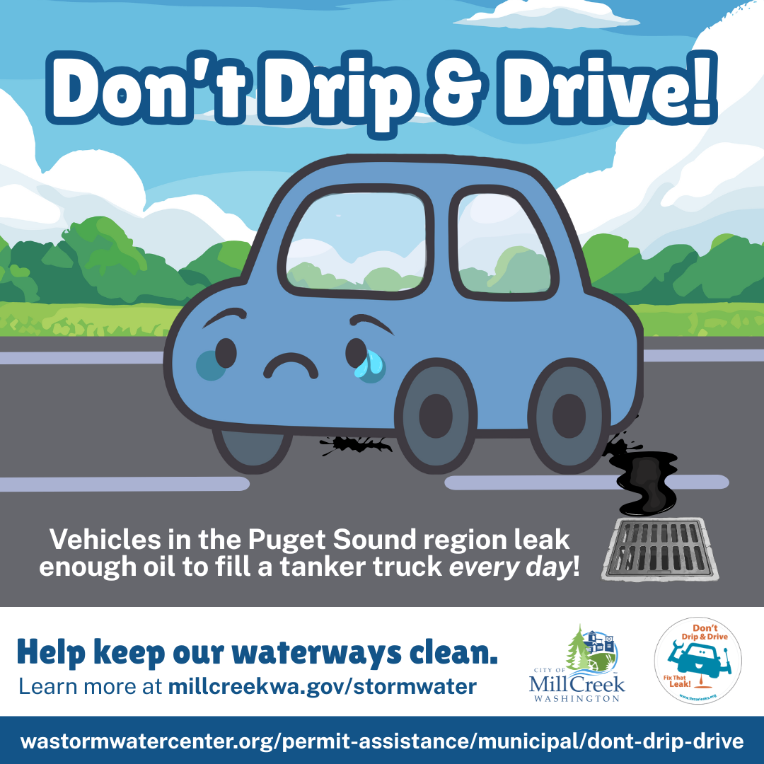 Don't Drip and Drive!