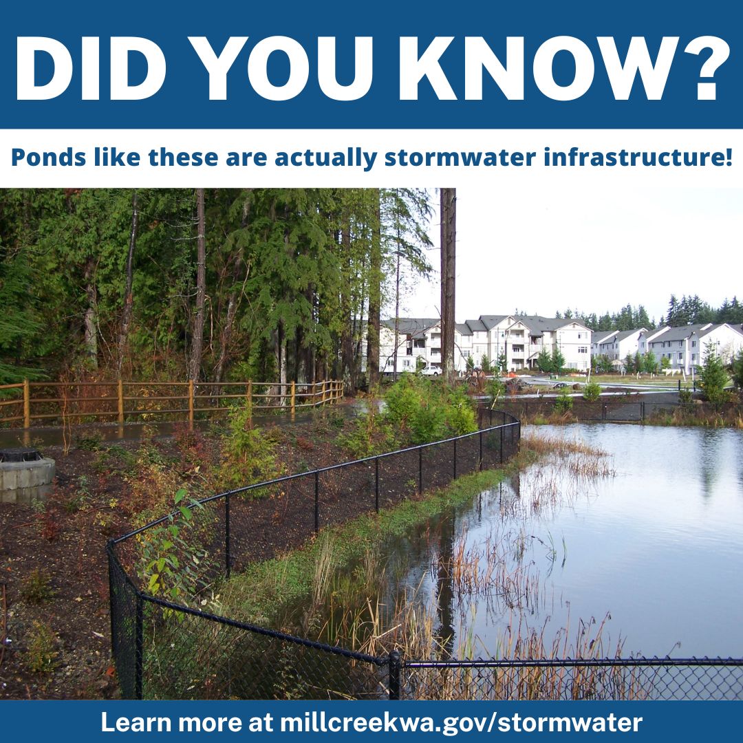 Did you know? Ponds like these are stormwater infrastructure! Learn more at millcreekwa.gov/stormwater, a picture of a pond