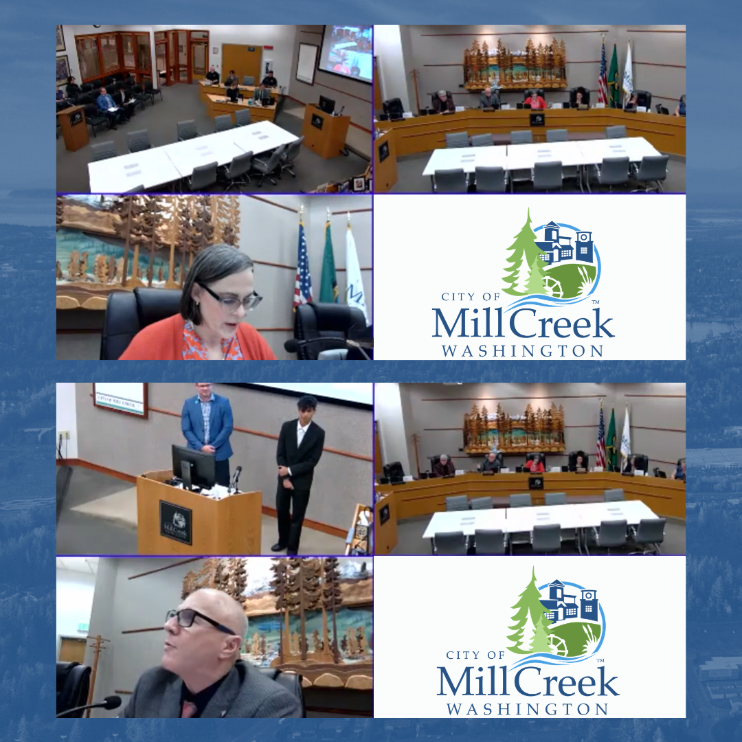 City Council Recap for June 09, 2026 screencaps from Zoom