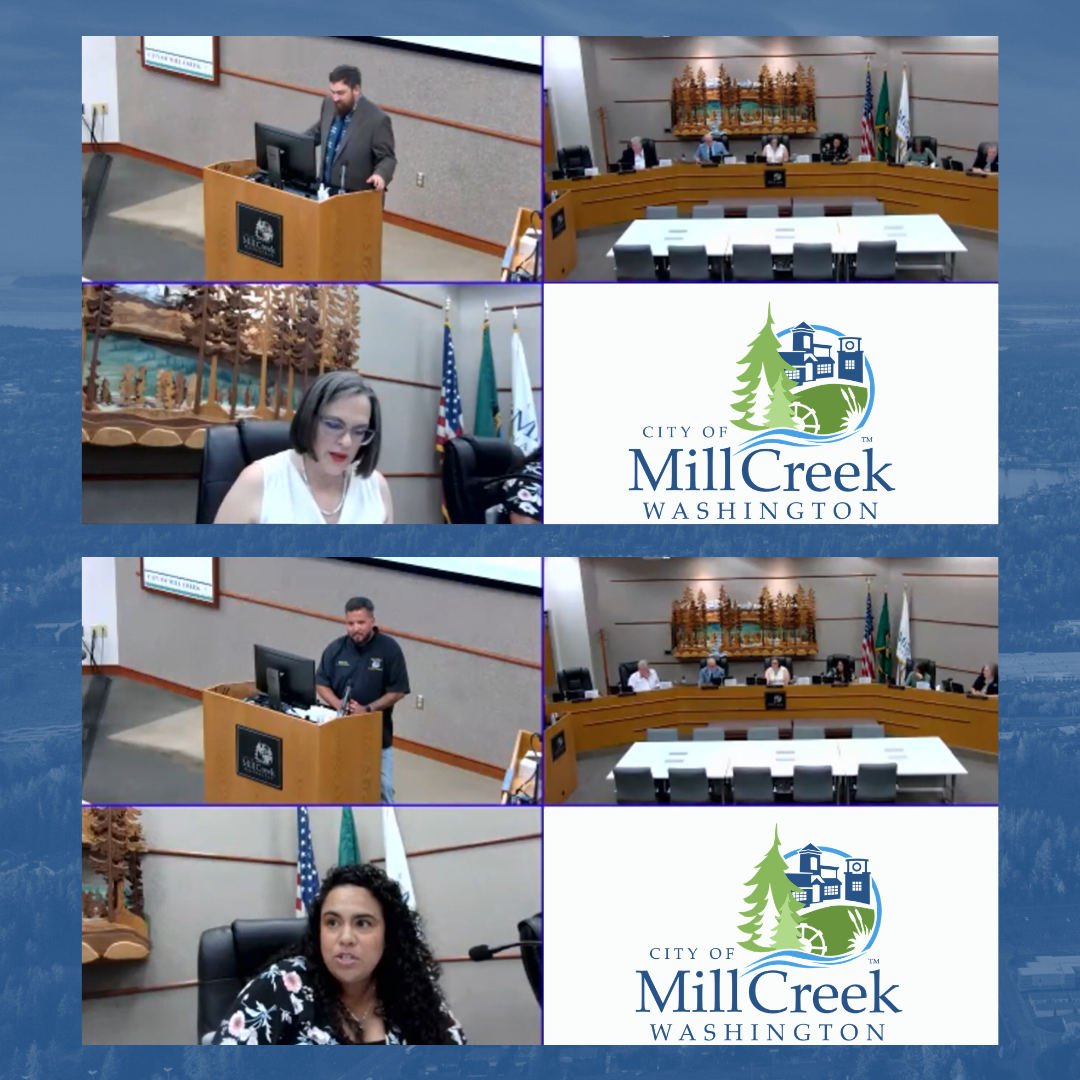 City Council Recap from July 14 2026 with presentations on zoom.