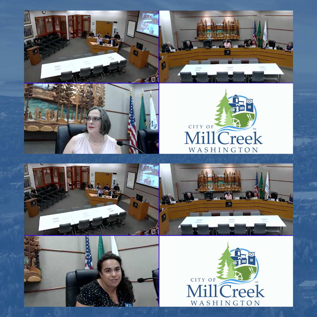 City Council Recap for August 11, 2026 - Zoom screenshots of meeting in Council Chambers.