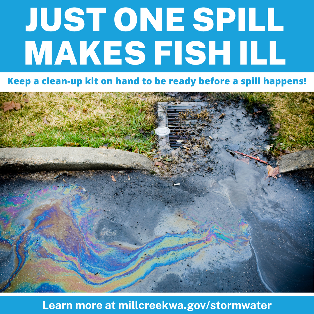 Just one spill makes fish ill!