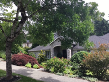 A house and garden, winner of a Great Garden Award. 