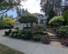 A house and garden, winner of a Great Garden Award. 