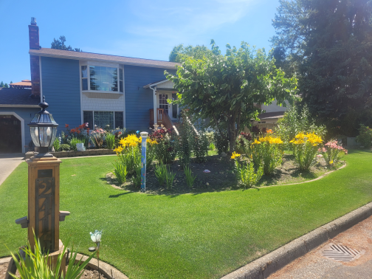 A house and garden, winner of a Great Garden Award. 