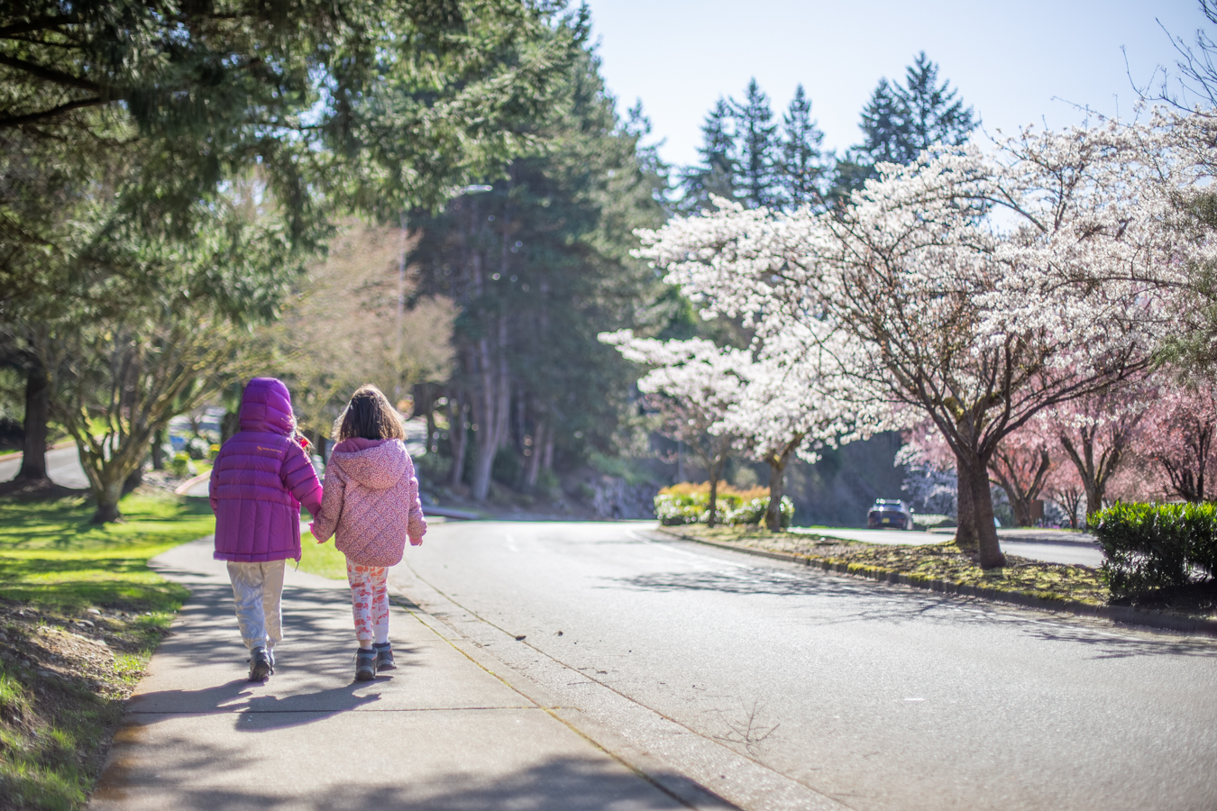 People walk along a sidewalk in Mill Creek