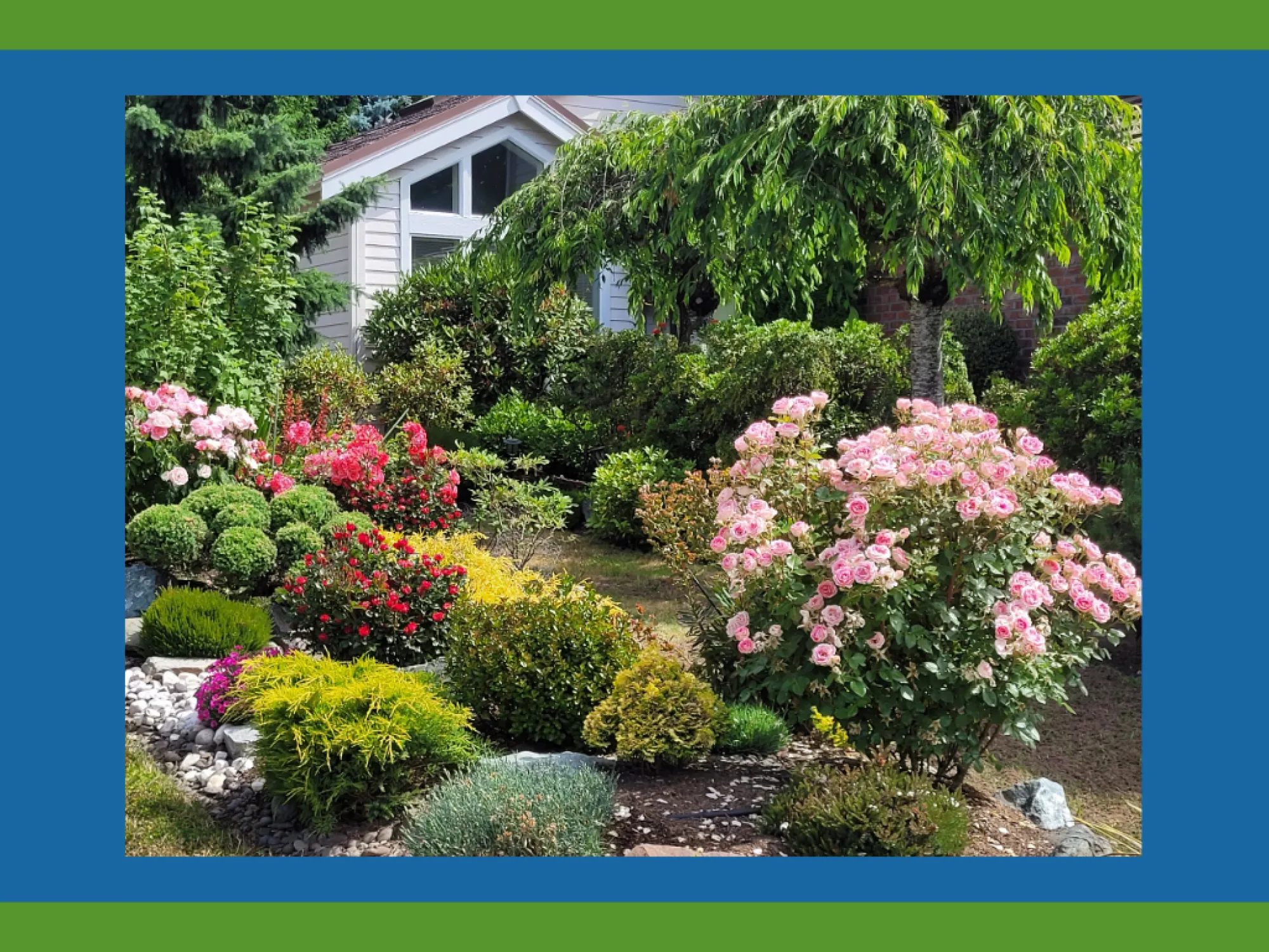Great Garden Award 2025 - recipient garden full of flower bushes and trees.