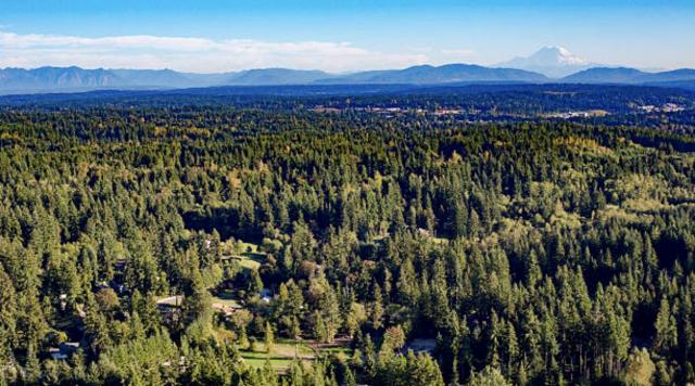 Mill Creek Aerial